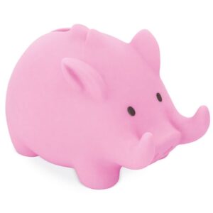 HUCHA JABALI - Image 5