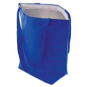 BOLSA NEVERA PVC - Image 11