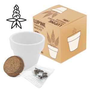 VASO TERRACOTA "WHITE" - Image 3