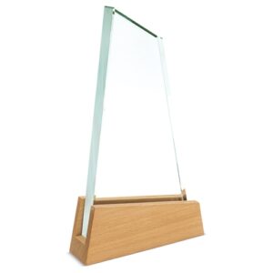 TROFÉU "REGATA" - Image 3