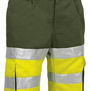 Bermuda A.V. BRANDON - Image 5