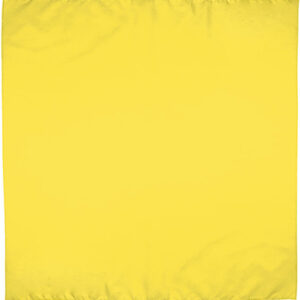 Lenço quadrado BANDANA - Image 4