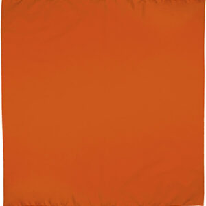 Lenço quadrado BANDANA - Image 5