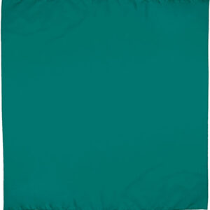 Lenço quadrado BANDANA - Image 3