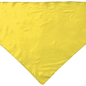 Lenço triângular FIESTA - Image 4