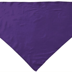 Lenço triângular FIESTA - Image 10