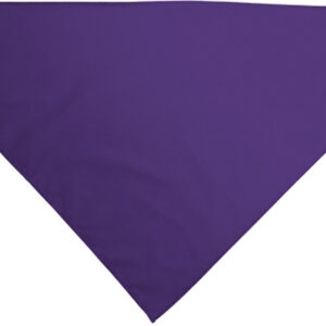 Lenço triângular GALA - Image 10