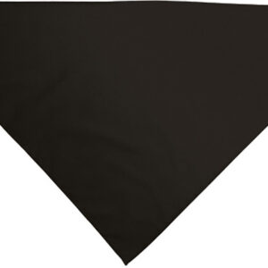 Lenço triângular GALA - Image 15