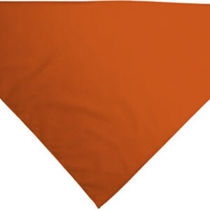 Lenço triângular GALA - Image 5