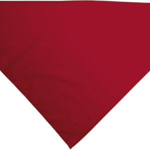 Lenço triângular GALA - Image 6