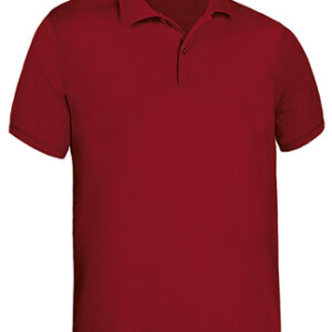 Polo M/Curta KENTUCKY - Image 4