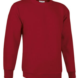 Sweat-shirt DUBLIN - Image 11